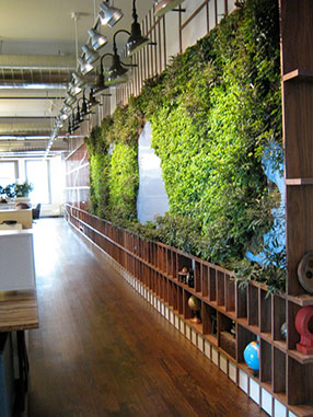 Our offices...